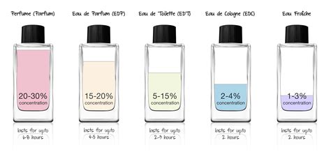 The One EDT vs. EDP Comparison 